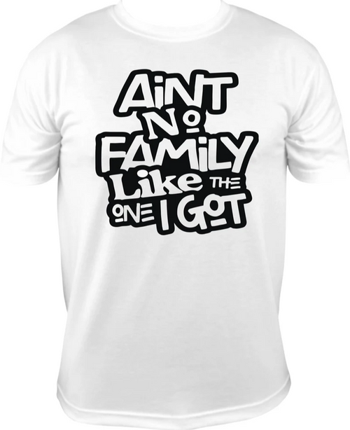 Ain't No Family Like The One I Got Shirt, Trendy Family T-Shirt, Family Reunion Shirt, Family Vacation, Funny Family Birthday Crewneck Gifts