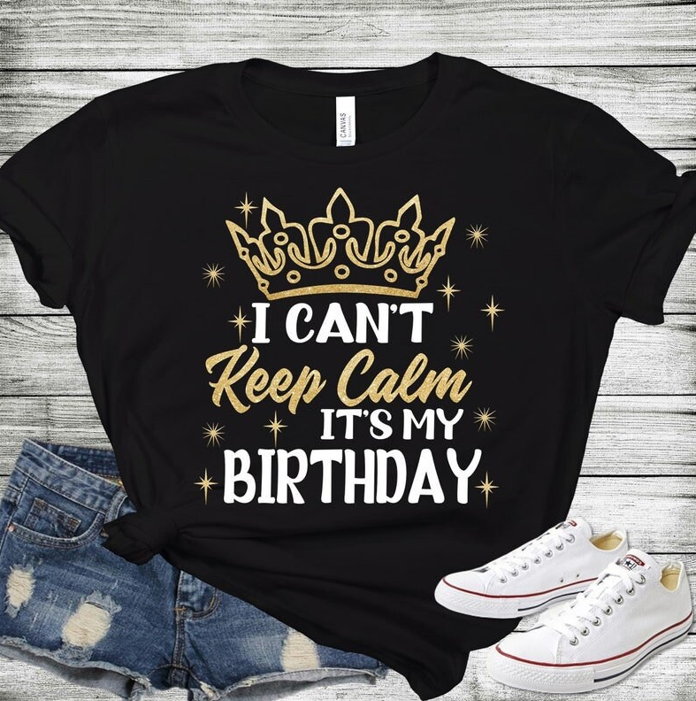 Birthday Shirt, 80th Birthday Crew Shirt for Woman, Birthday Print Birthday Party Shirts, Chapter 80 Birthday Shirt, Group Shirts
